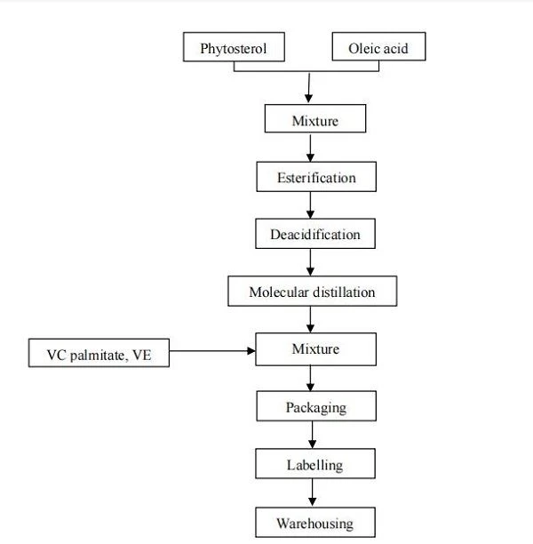 Flow Chart