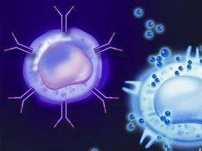 product-284-213 Immune function