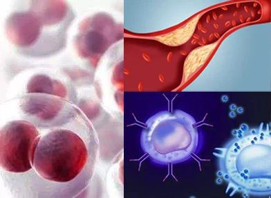 Conjugated Linoleic Acid