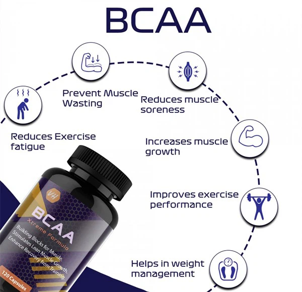 info-600-580 info-600-580