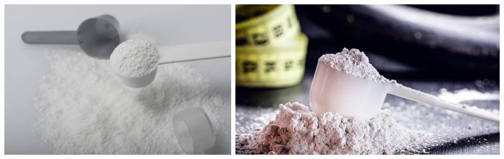 Various fitness supplements Various fitness supplements