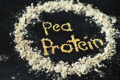 Trab tal-proteina tal-piżelli vs . Xorrox: Liema huwa aħjar?