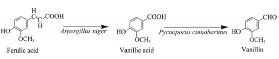 info-484-103 info-484-103