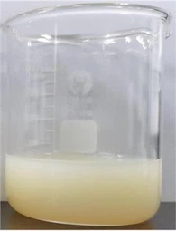 Vitamina Ċ liposomali