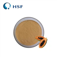 Trab tal-Papajja Fermentat